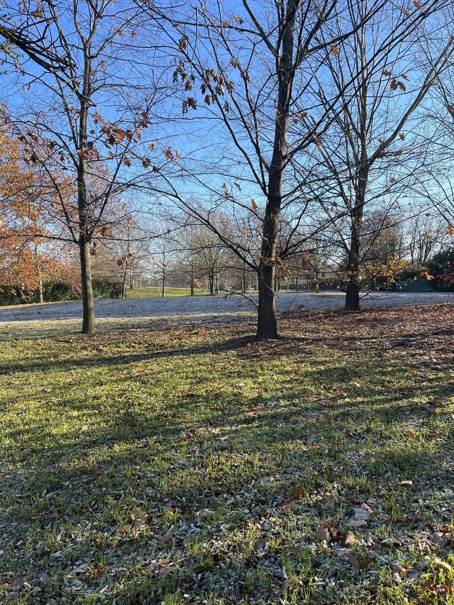 SpaceCodingX's tweet image. 🚴♂️ Oggi ho fatto un bel giro in bici per godermi il sole e il paesaggio. Mi piace fare sport e tenere in forma il corpo e la mente. Ecco una foto che ho scattato durante il percorso. #spacecoding #programmazione #sport