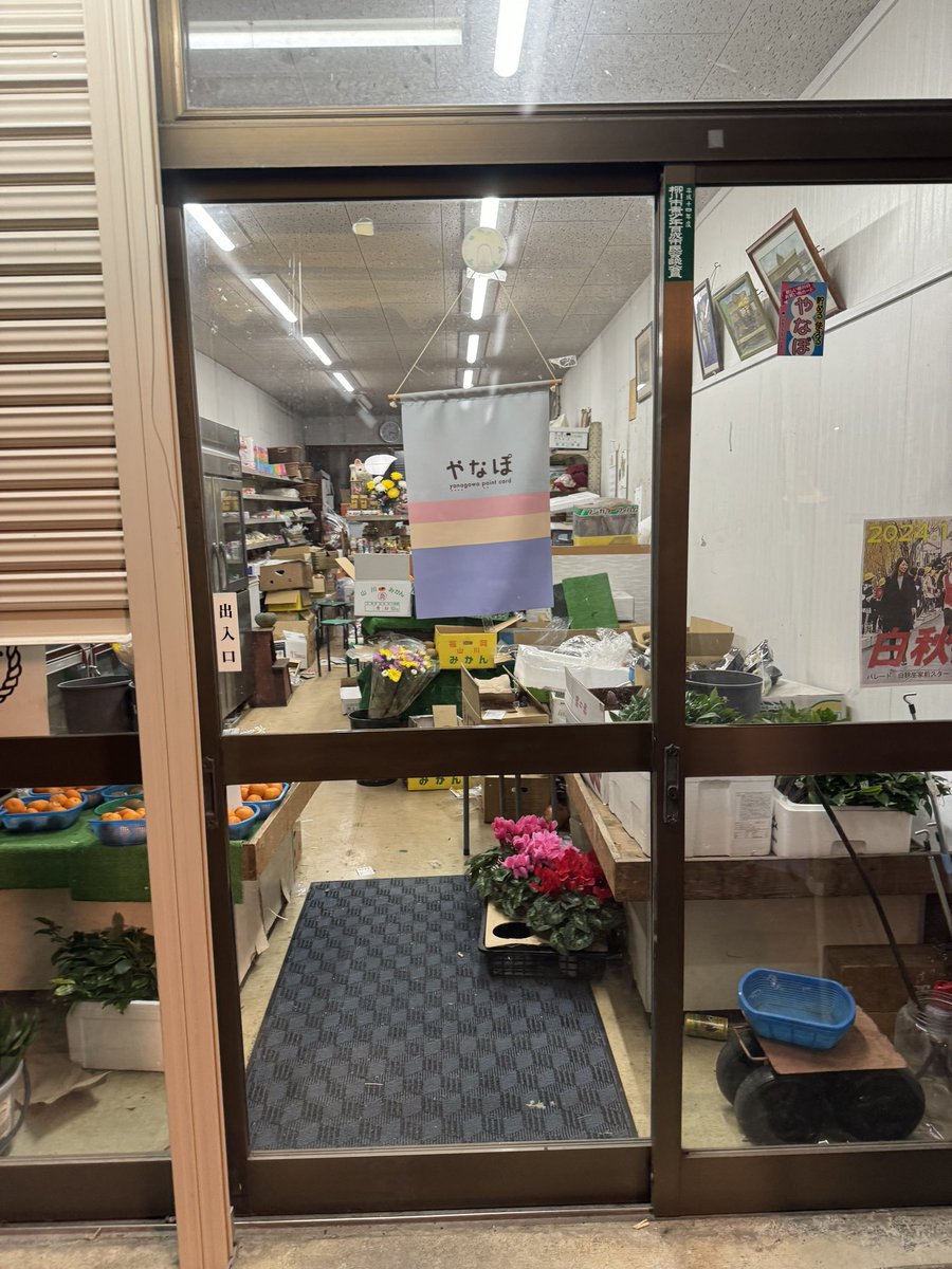こんな時間だけど(ただいま18時半、外は真っ暗)
ちょっと外を100mくらい歩いただけで、半径100mくらいのご近所さん4人と次々と会う。
こんばんは〜！あんた柚子いるね？こげーん小さかやつよ、クスリふっとらんけん黒い点々あるやつ。いるね？？
と、明日柚子をゆずっていただけることになった。平和だ