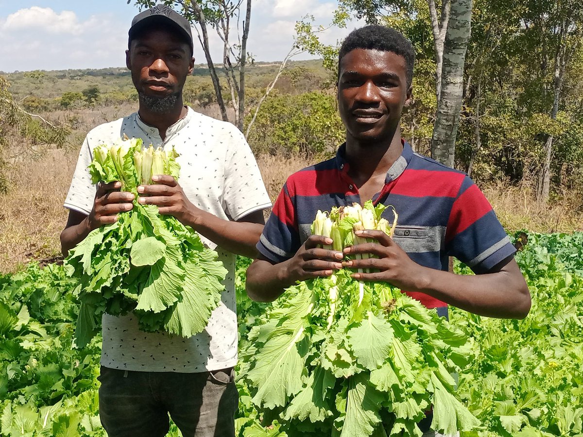 Agribusiness Media tweet media
