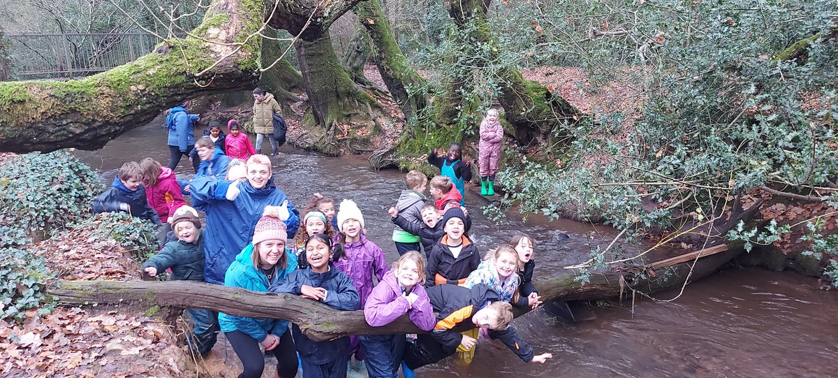 Coed Glas Forest Sch tweet media