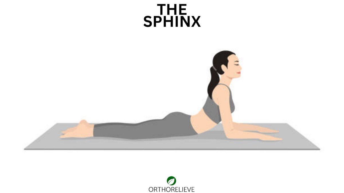 OrthoRelieve's tweet photo. 💚The Sphinx pose eases lower back pain by extending spine, relieving disc pressure, strengthening muscles, and enhancing blood flow. To do this, lie on your stomach, prop up on the forearms under the shoulders, lift your chest while keeping pelvis down.✨
#yogalove #sphinxpose https://t.co/cLgIbRcHUH
