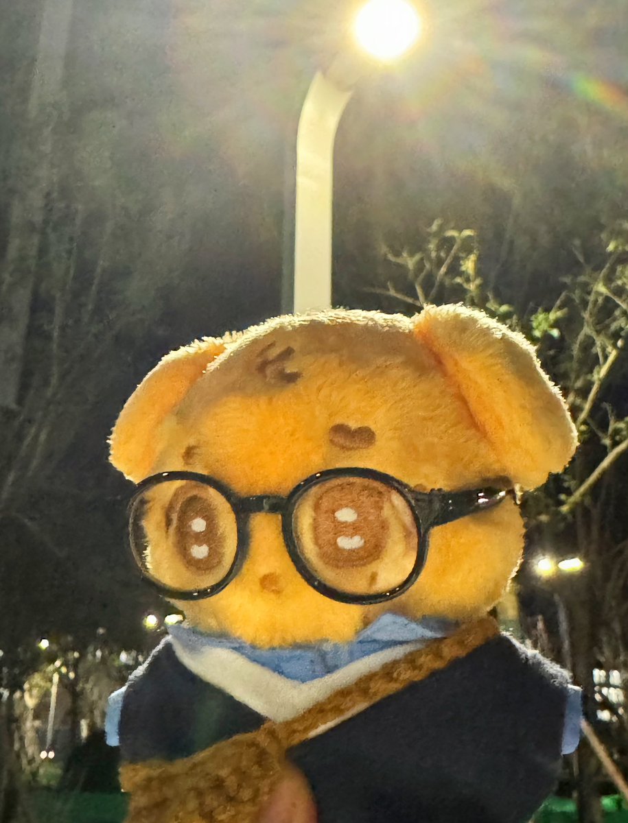 겸만두 tweet media