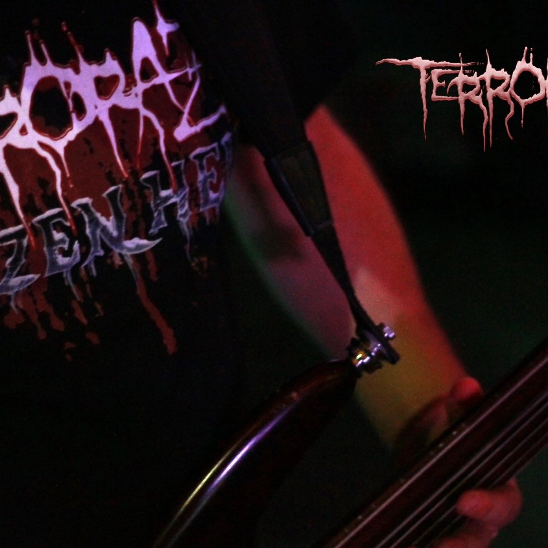 TerroRaze tweet media