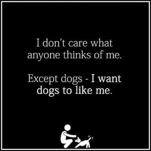 domdyer70's tweet photo. So true https://t.co/2VdWbaqG6o