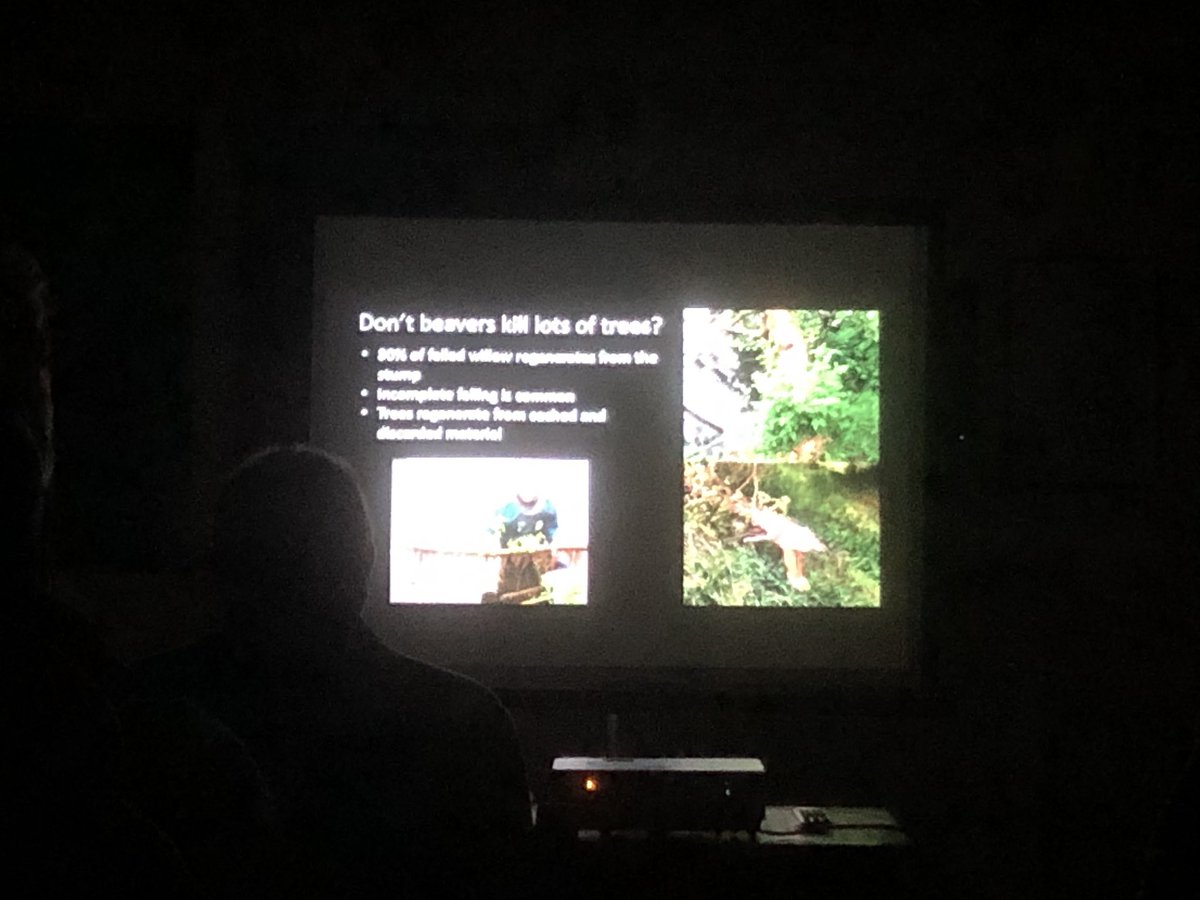Big thanks to @NWillby & @AlanLaw_ for an enthralling talk on the trials, tribulations & joys of studying beavers over 20 years. Main things learned: Beavers create mess Nature likes mess Great to see such a big audience too. Thanks for coming folks! @BrewsterKirsten
