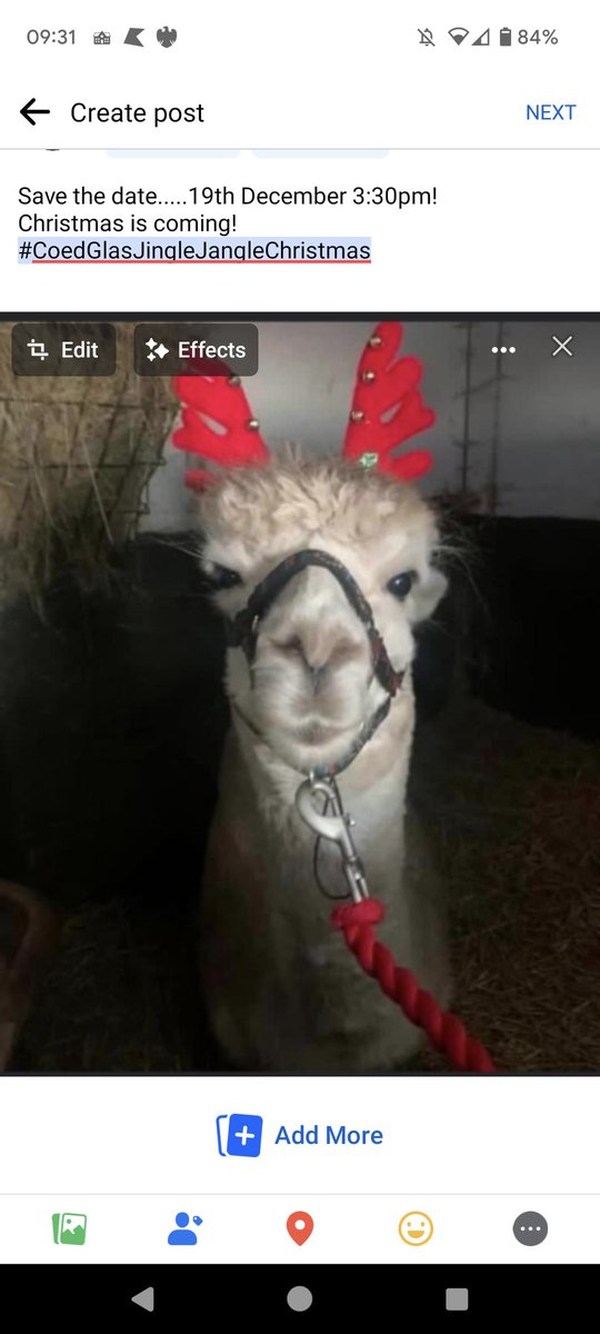 Coed Glas PTA tweet media