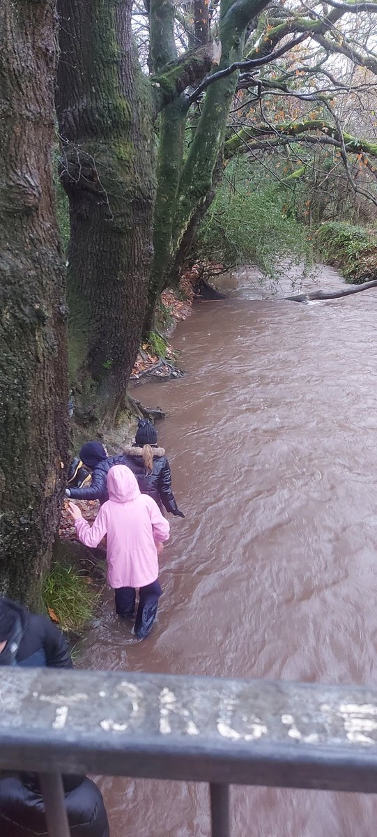 Coed Glas Forest Sch tweet media
