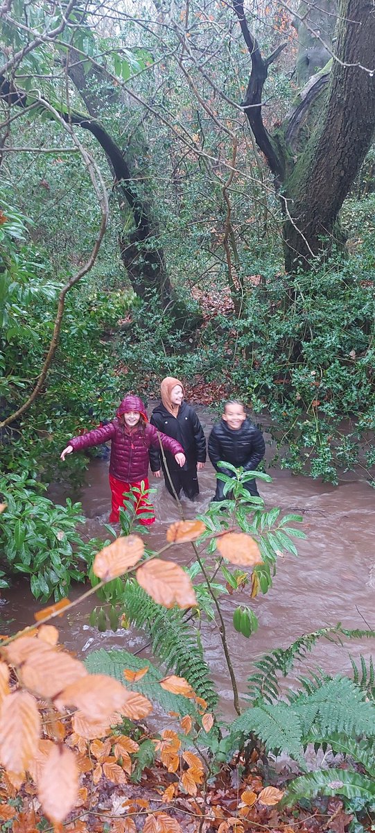 Coed Glas Forest Sch tweet media