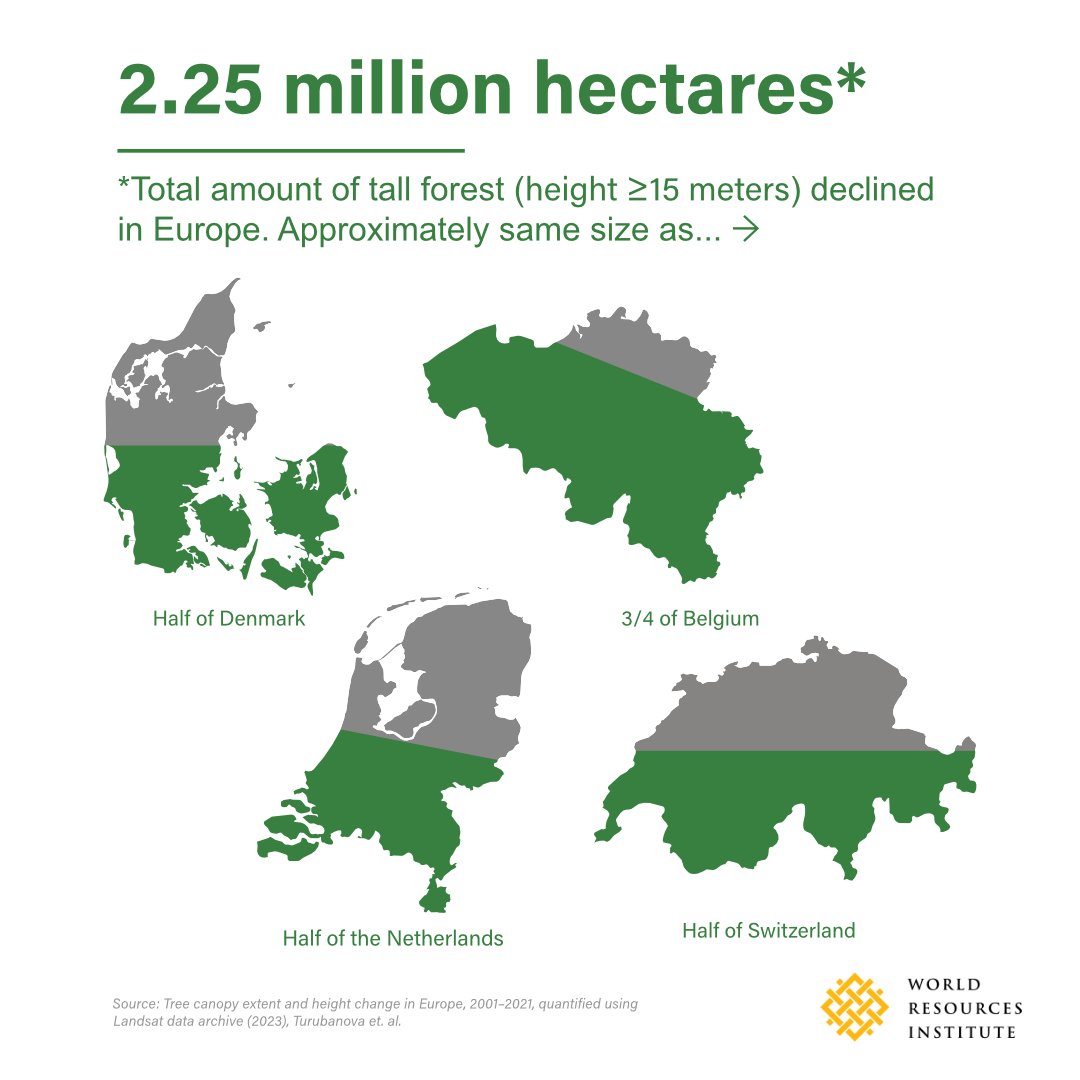 A study from @UMD_GLAD and @WorldResources reveals the total amount of tall forests (forests with trees ≥ 15 meters) declined by 2.25M ha over the last two decades. Here's what that looks like 👇 Read more: gfw.global/3sKFJGi