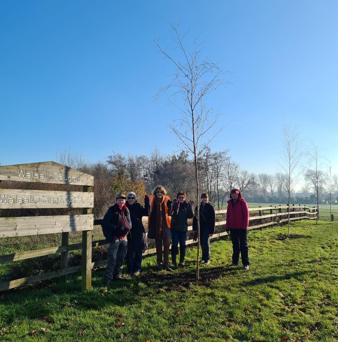 TheTreeCouncil's tweet photo. We had such a fantastic week of tree planting during National Tree Week. Big thank you to Walsall Tree Wardens who planted birch trees at Walsall Arboretum! 🌳 https://t.co/ljfhq7cBiq