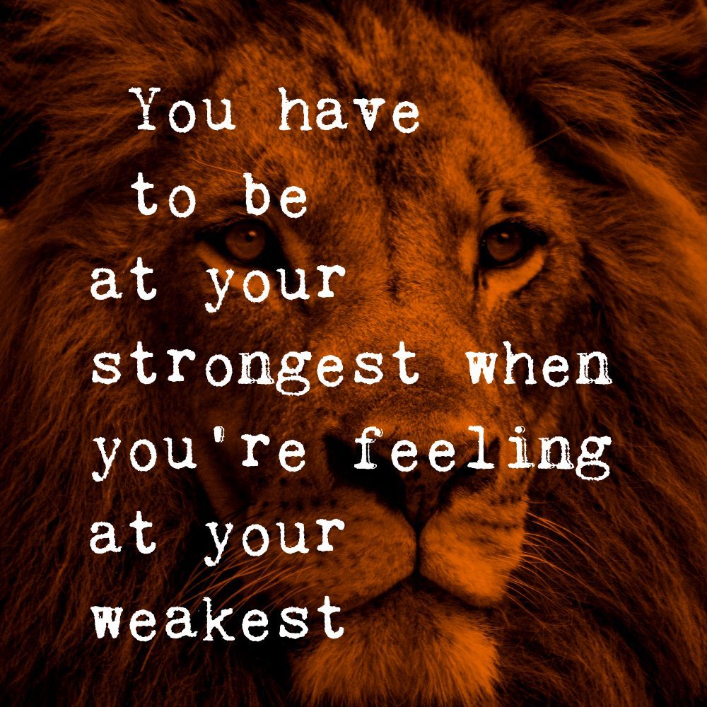 'You have to be at your strongest when you’re feeling at your weakest.'

#motivation #inspiration #quote