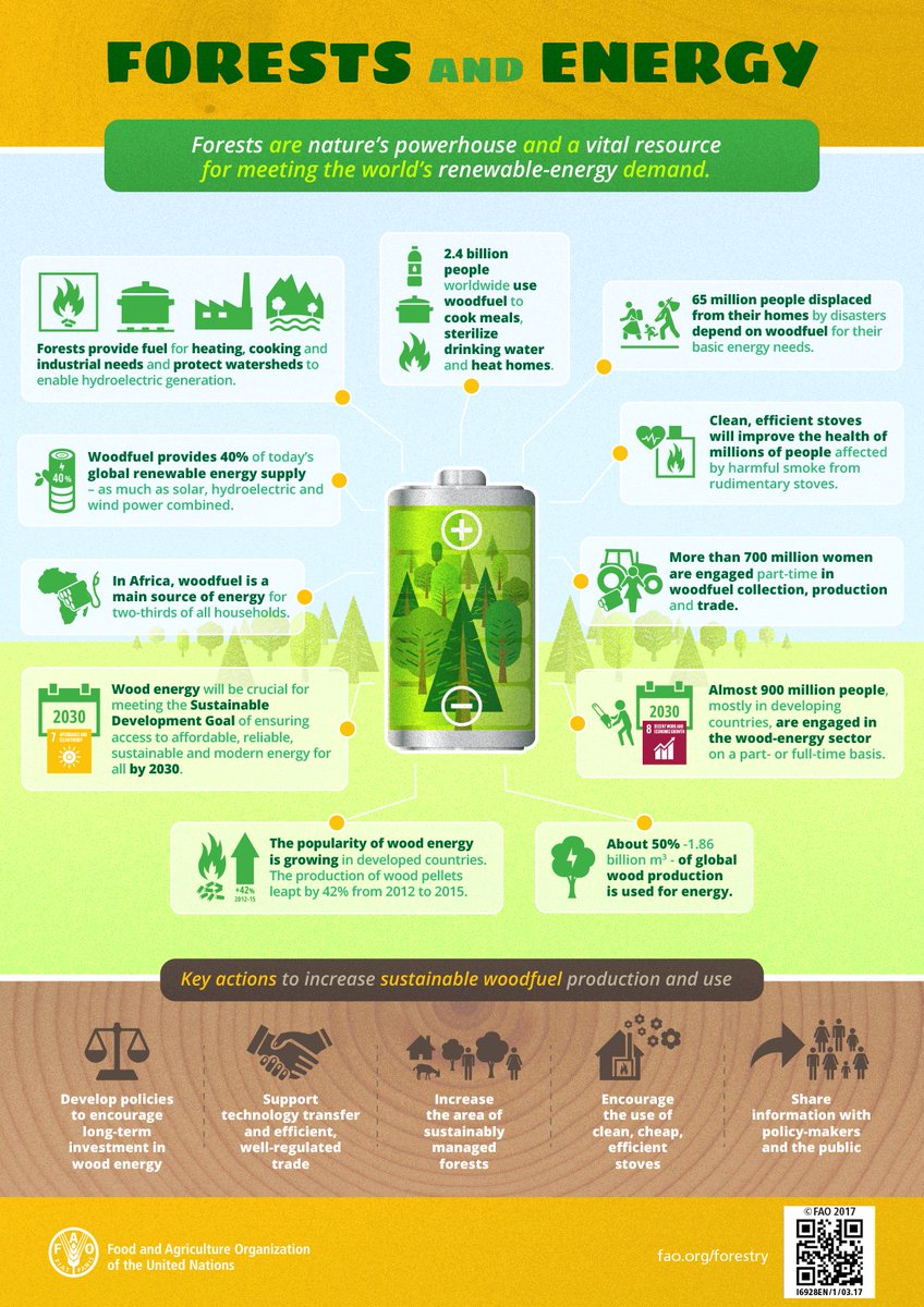 Forests are nature’s powerhouse and a vital resource for meeting the world’s renewable-energy demand 🌳☀️

Learn about the key actions to increase #sustainable woodfuel production and use.

Via @fao #ForNature