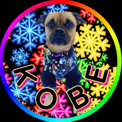 kobethejug's tweet photo. #NewProfilePic https://t.co/xjvnA4fAA0