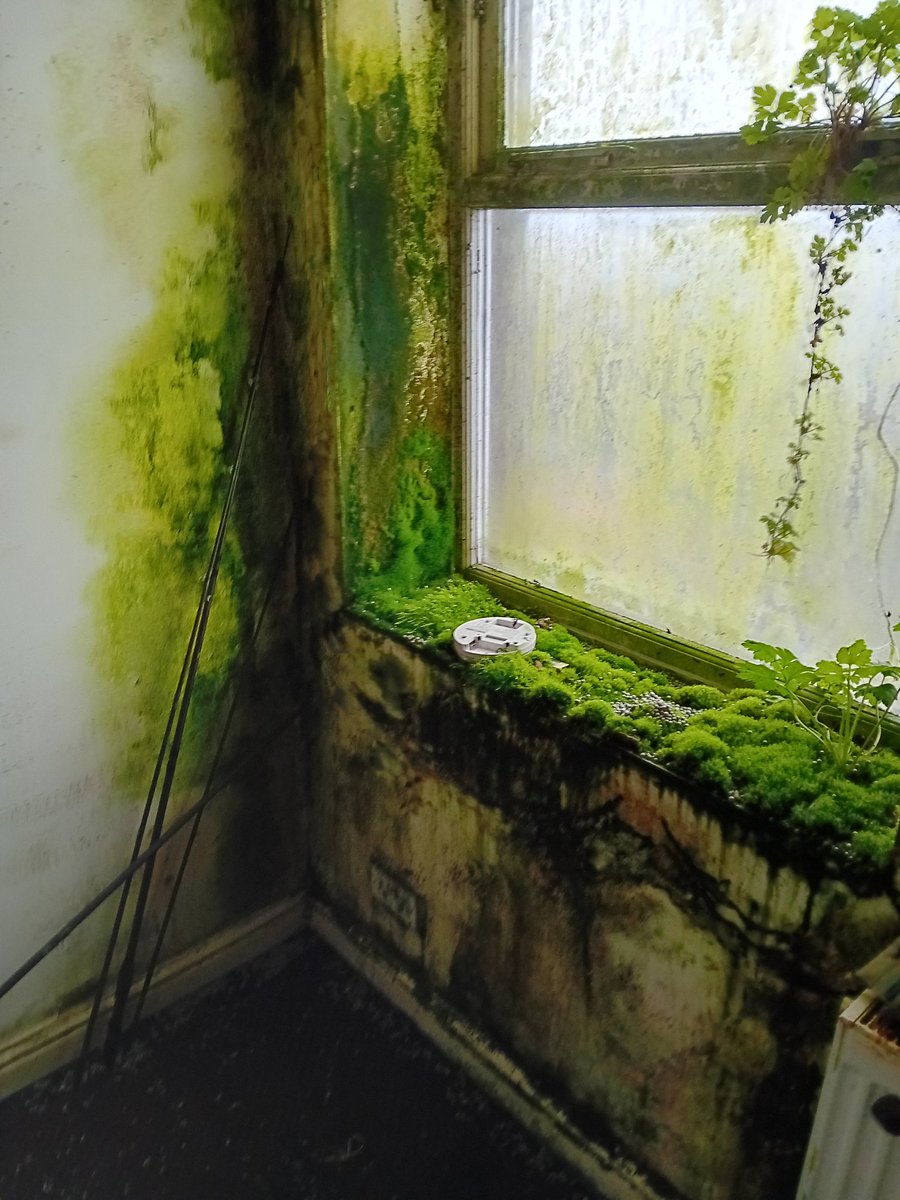 WillMallard's tweet photo. Greenroom #rentalproperty - captions please? https://t.co/FxwPBmLPFG