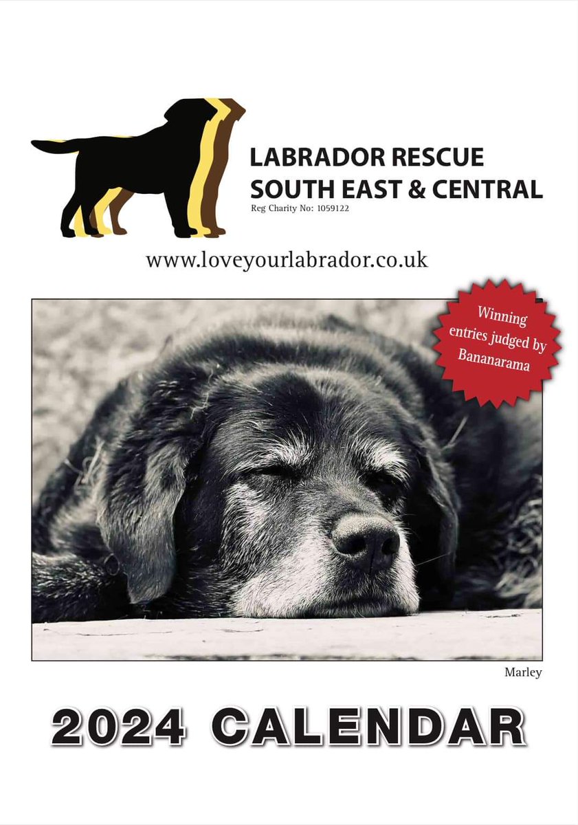 Labrador Rescue SE&C tweet media