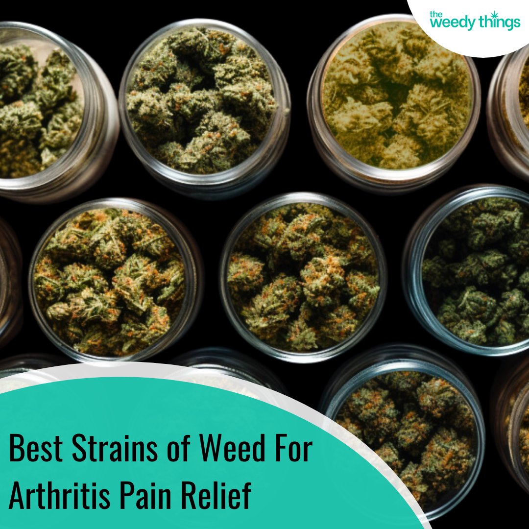 Relieve arthritis pain naturally! Explore the world of the best weed strains for soothing relief. Discover a herbal escape from discomfort and elevate your well-being. 🌿🌼

#ArthritisRelief #WeedForPain #CannabisWellness #NaturalHealing #HerbalPainRelief #StrainsForComfort