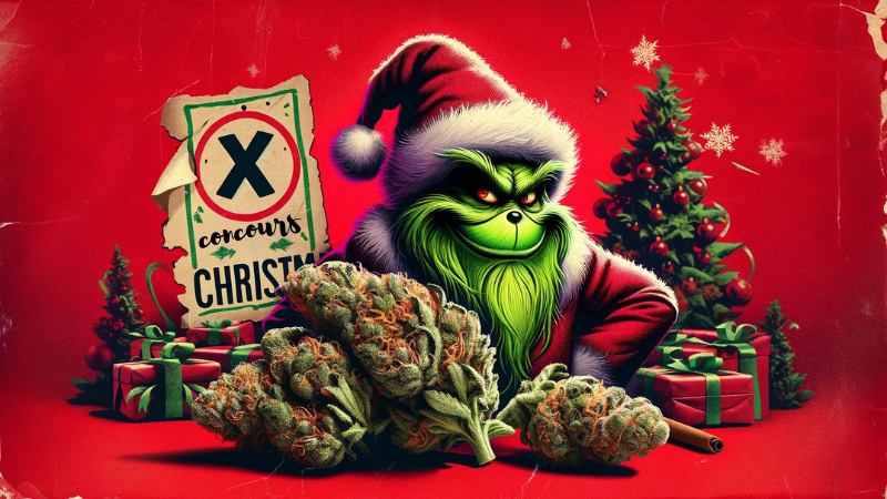 cbddequalite1's tweet photo. 🎄 [CONCOURS DE NOËL] 🎁
 Gagnez 10g de "Grinch" CBD ! 
Même un Grinch deviendrait joyeux.

👉 Suivez @cbddequalite1
 👉 RT + Like ce Tweet
👉 Commentez : "Réaction du Grinch à notre CBD ?"

🎉 Fin : 31/12 à 23h59. 
https://t.co/jiqGSD6c9s

#Noel #Concours #Grinch https://t.co/lNzZXSyj3X