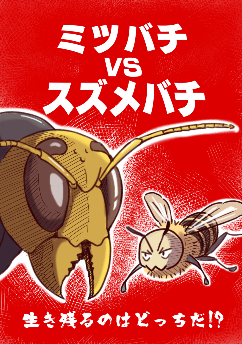 ミツバチvsスズメバチの熱い戦い ※この漫画は生き物の生態を元ネタにしたフィクションです。実在のハチや団体等とは関係ありません (1/8)