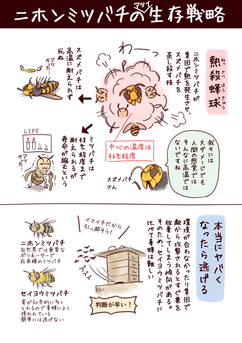 (8/8)