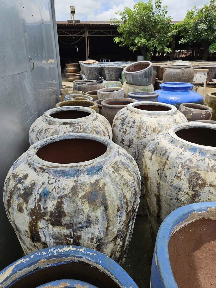 Jason62514329's tweet photo. Full pots in high peek season!
Contact for wholease pots: 
Email: jason@homeandgarden.vn
Whatsapp: +84964877911
#gardendecor #gardenpot #flowerpots #outdoorpottery #gardencenter #planter #krukker #terracottapots #bigpots #pottery #outdoorpots #pots #ceramicpot #vietnamesepots https://t.co/gqxu0KfnXN