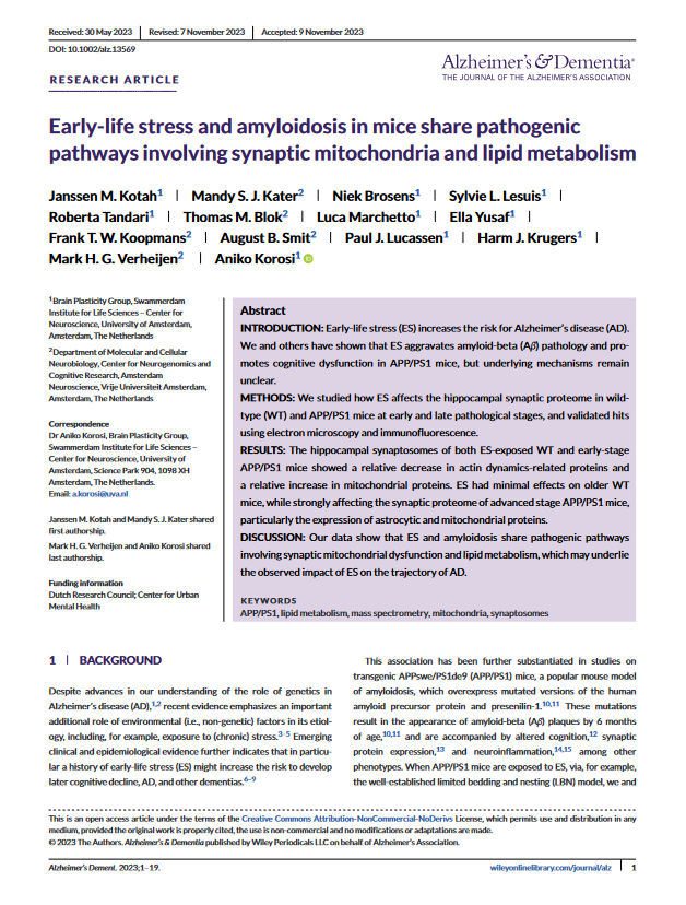 jmkotah's tweet photo. Happy to share that our project on proteomic changes in hippocampal synaptosomes after early-life stress in wildtype and APP/PS1 mice is now published! This was a collaboration between the @KorosiAniko and Mark Verheijen labs, co-led by Mandy Kater. https://t.co/ELG8ei33nd https://t.co/RBkDmeaPIK