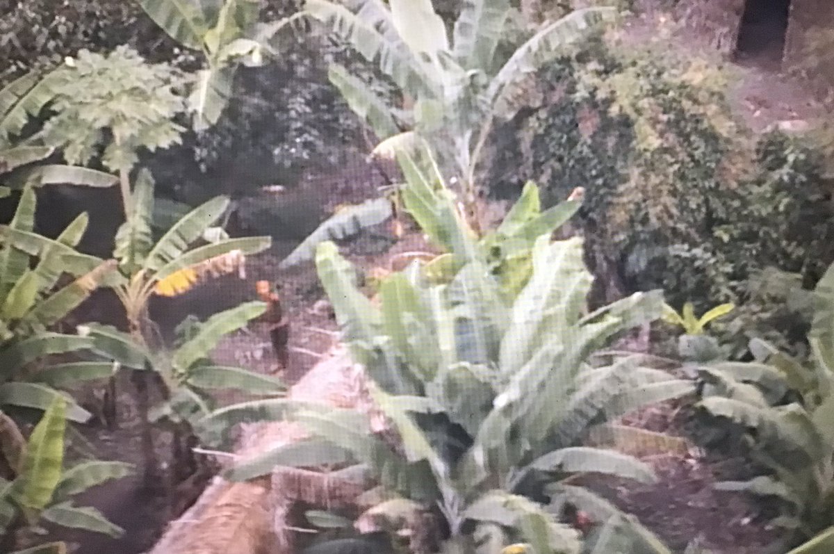 lindenrdbeech's tweet photo. We watched an aerial clip of uncontacted tribes in Brazil to help us gather information in order to write a non chronological report 🇧🇷 
#Lindenlearning #Lindenwriting @Linden_Writing @LindenRoad https://t.co/t3hhwYWsRL
