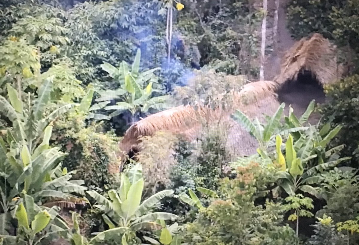 lindenrdbeech's tweet photo. We watched an aerial clip of uncontacted tribes in Brazil to help us gather information in order to write a non chronological report 🇧🇷 
#Lindenlearning #Lindenwriting @Linden_Writing @LindenRoad https://t.co/t3hhwYWsRL
