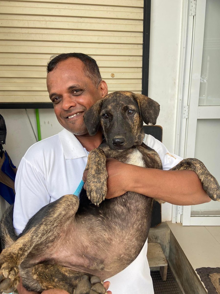 Gorgeous boy Parsley was adopted today 🥳🎉🤩

🧡🧡 Happy tails Parsley 🧡🧡

animalsos-sl.com/you-can-make-a…

#adopted #adoptarescue #rescuedogs #ThursdayThoughts
