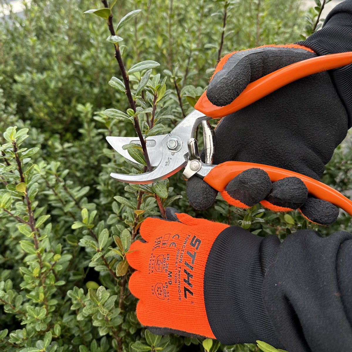 Our ThermoGrip Function gloves have thick insulation, a strong latex palm coating and good grip which makes them perfect for gardening in cold, wet and snowy conditions. Get yours from your nearest STIHL Approved Dealer this winter: shop.stihl.co.uk/pages/dealer-l…