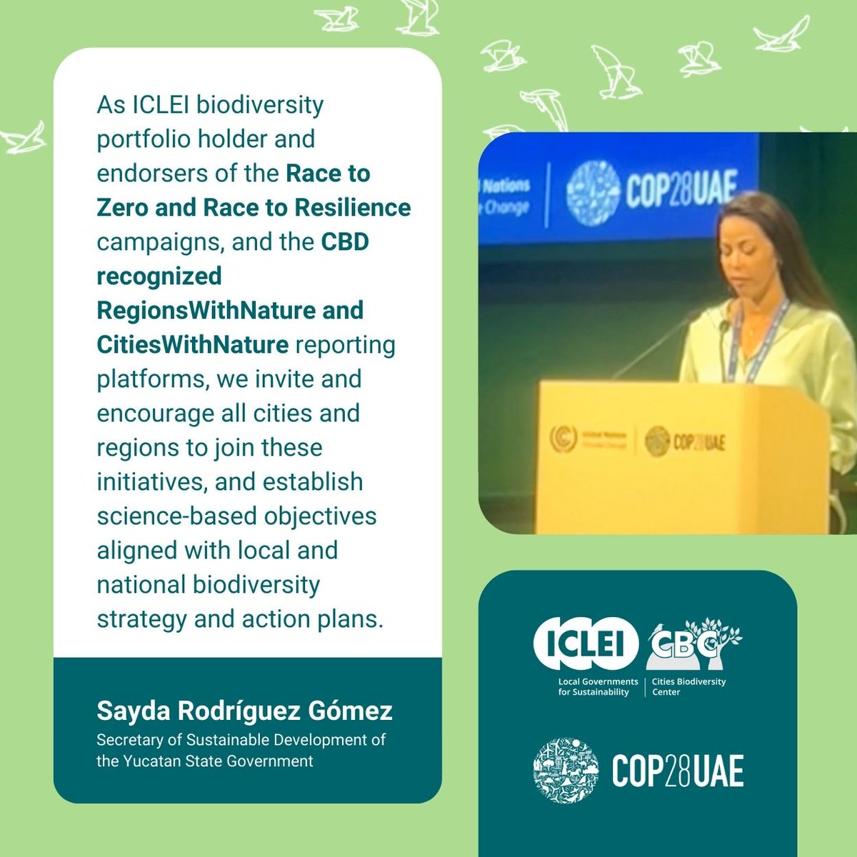 At our #COP28 session: Local Ecosystem Restoration for Nature-Positive Cities & Regions

Sayda Rodríguez Gómez, @gobiernoyucatan, as @ICLEI biodiversity portfolio holder, calls on cities & regions to join #RaceToZero, #RaceToResilience, #CitiesWithNature & #RegionsWithNature 🌱🏙