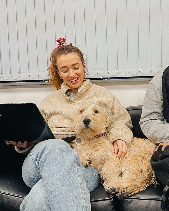 ineqegroup's tweet image. Today, Mags is shadowing our amazing Research Team in their weekly update meeting for one of our Independent Safeguarding Reviews. Lauren is the chosen one for #SofaSnuggles.