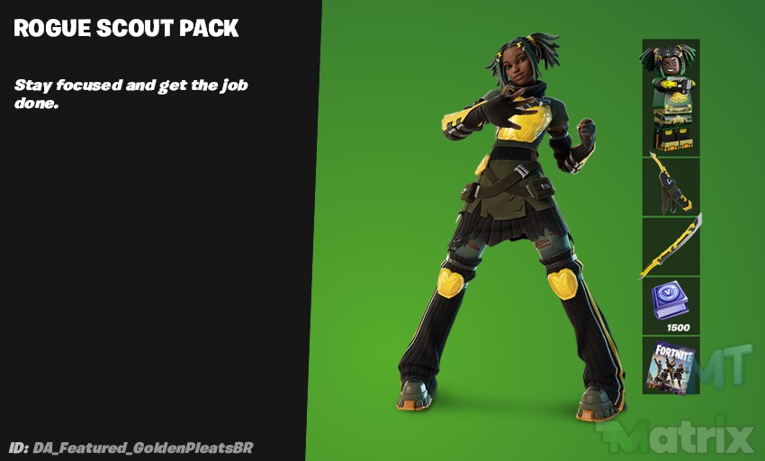 Rogue Scout Pack