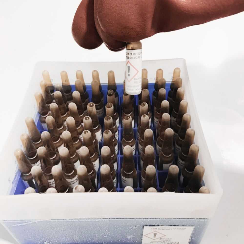 At #Cifga we produce the #CertifiedReferenceMaterials you need for your analysis.
In the picture, we see the packaging of #microcystin.

Do you want to see our catalog of #cyanotoxins? 👇

cifga.com/10-cyanotoxins

#CRMs #Toxins #Biotoxins #Standards #ISO17034