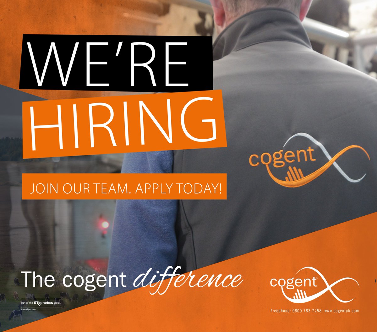 Join us as a Coloured  Breeds Specialist!

Your main responsibilities will be to manage the Grazing and Coloured breeds programmes, and be the product specialist for all non-Holstein dairy genetics, including the Irish EBI grazing portfolio.

Visit careers.cogentuk.com/job/485807
#Cogent