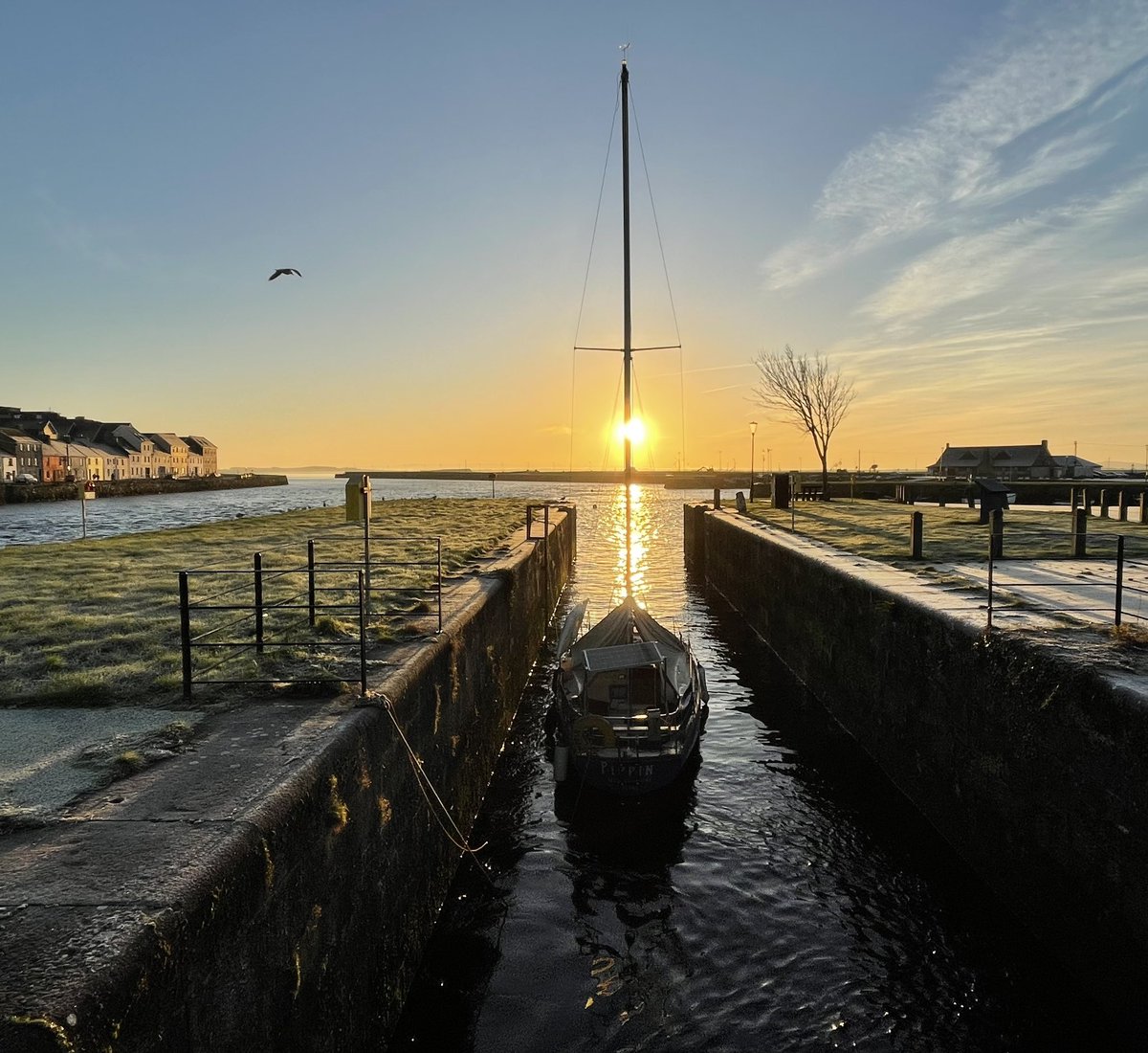 galwaytourism's tweet photo. May your day be as bright as a winter sunrise in Galway 🌅❄️
#LoveGalway #WildAtlaticWay https://t.co/zicbCkActv