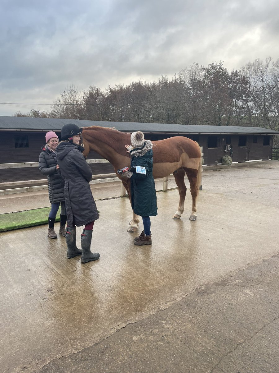 Mitchell Rees tweet media