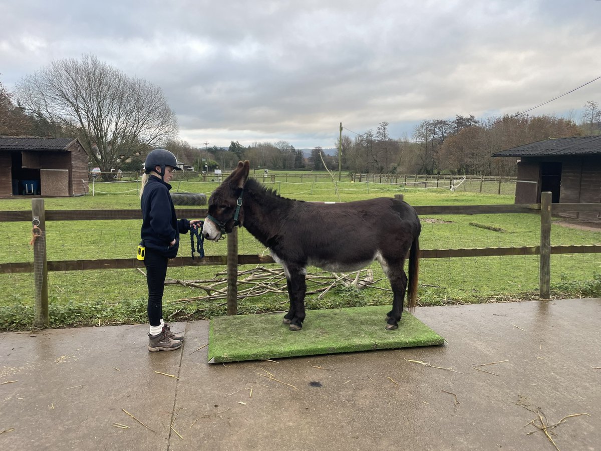 Mitchell Rees tweet media