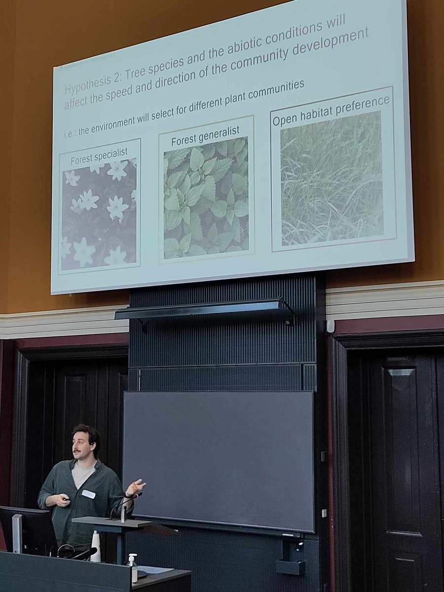 DavideBars (@davidebarsotti) on Twitter photo I'm thrilled to have won the Best Oral Presentation Award at the IGN PhD and PostDoc conference! 🏆 Shared insights on plant diversity in afforested agricultural soils. Grateful for the chance to showcase our research! 🌿 #PhDlife #Ecology #Biodiversity #Research <a href="/SilvaNova_NNF/">Silva Nova</a> I'm thrilled to have won the Best Oral Presentation Award at the IGN PhD and PostDoc conference! 🏆 Shared insights on plant diversity in afforested agricultural soils. Grateful for the chance to showcase our research! 🌿 #PhDlife #Ecology #Biodiversity #Research <a href="/SilvaNova_NNF/">Silva Nova</a>