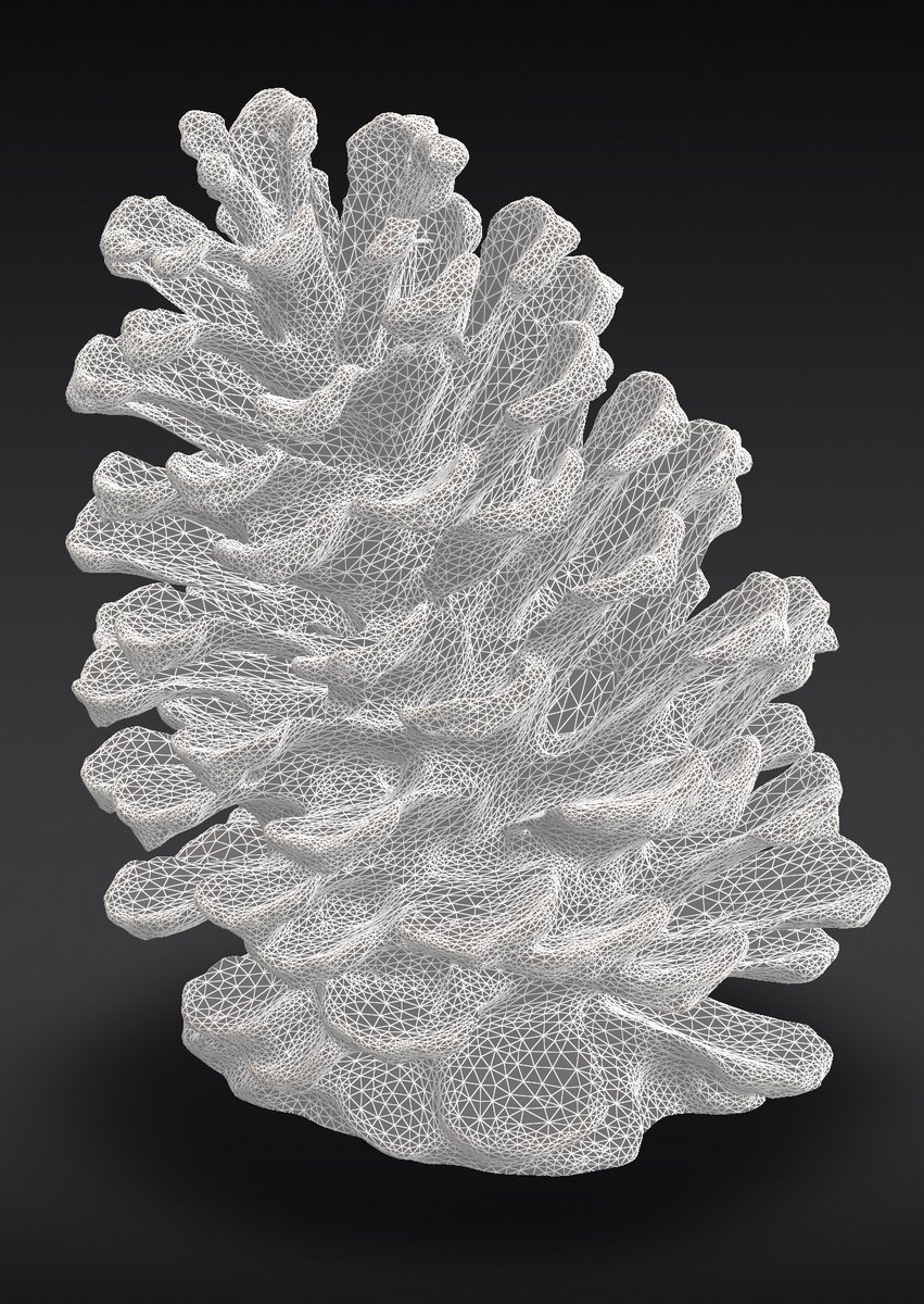 James Frances Loftus tweet media