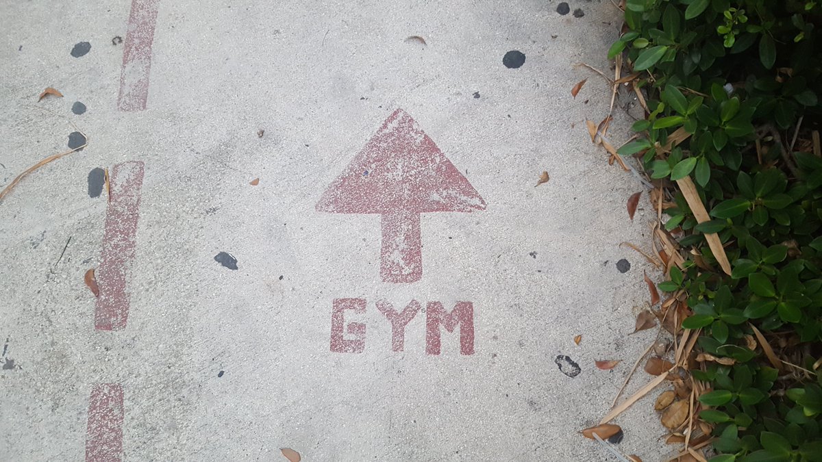 In our latest article, CoFounder of #TheBoldAge, Steve Foreman discusses: Exercise trends through Covid and beyond, from a gym owner perspective.

theboldage.com/exercise-trend…

#Positiveageing #Boldage #Fitness #Exercise #Over50s