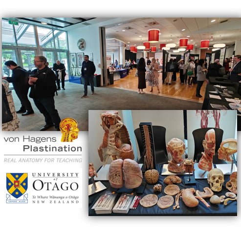 vonHagensPlast's tweet photo. Thank you all for coming by our booth at the 10th APICA & 20th ANZACA Congress at the University of Otago. Special thanks to Dr. Stephanie Woodley for the great communication and organization.
#APICA #ANZACA #medicaleducation #anatomy #plastination #newzealand https://t.co/9lffjOwAXA