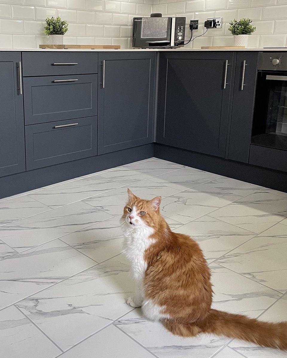 BenchmarxUK's tweet photo. If you need purr-suading that the Cambridge Midnight Blue kitchen range is for you then take it from this satisfied customer! π»
#BenchmarxKitchens #BlueKitchen #BlueKitchens #ShakerKitchen https://t.co/TIUSOokJME