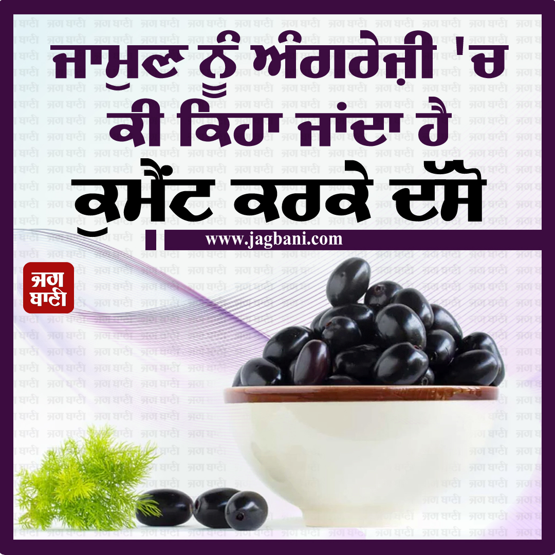 JagbaniOnline's tweet photo. ਜਾਮਣ ਨੂੰ ਅੰਗਰੇਜ਼ੀ 'ਚ ਕੀ ਕਿਹਾ ਜਾਂਦਾ ਹੈ?
ਕੁਮੈਂਟ ਕਰਕੇ ਦੱਸੋ।
#Braingame #Jamun #Englishname #Guess #Comment #Jagbani https://t.co/yU4OvTG9wW