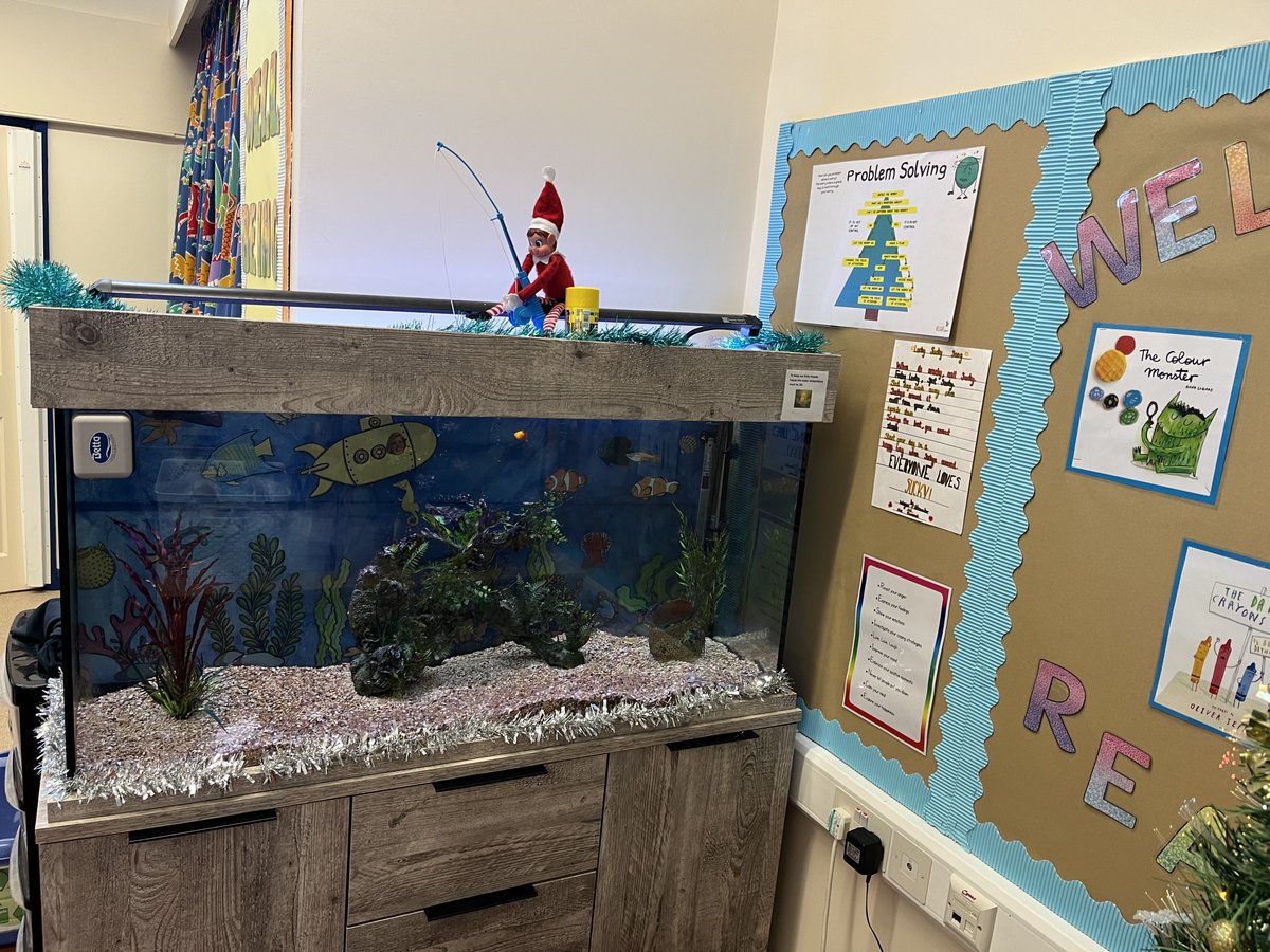 Our Elf is spending some quiet time at our fish tank which is also proving a very popular place for our pupils at this time of year. #Everybody_Needs_a_Safe_Space