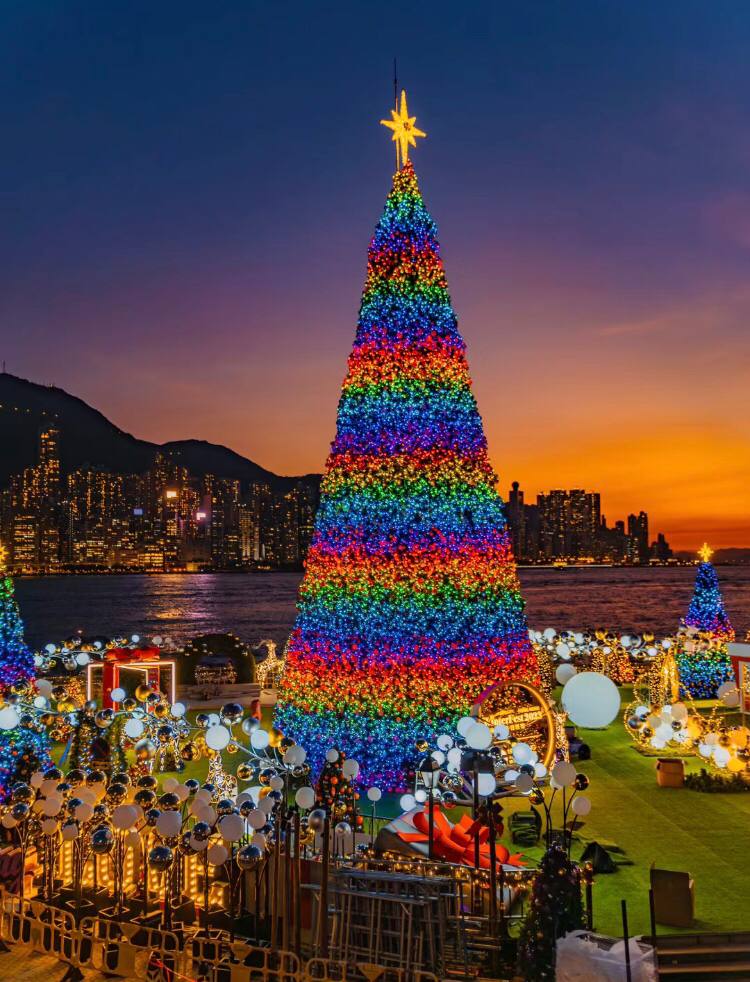 SelenaDavis6587's tweet photo. The sunset and the Christmas tree are both beautiful🥰 https://t.co/PyTD3etakq