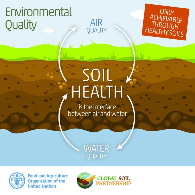 UNBiodiversity's tweet photo. Healthy soil is the bridge between #air 🌬️ and water 💧 that keeps our planet in balance! 🌍

Let's make sure we're keeping this essential interface healthy for the benefit of the #Environment! #SoilHealth #SaveSoil 

👉🏿 https://t.co/VXB088UiGi

Via @FAOLandWater https://t.co/vIk1VtAKud