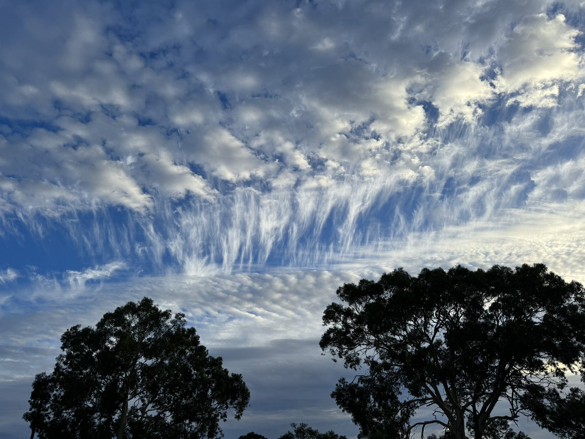 jamiepaterson's tweet image. There are some stunning clouds in Perth tonight. #perthisok #perth