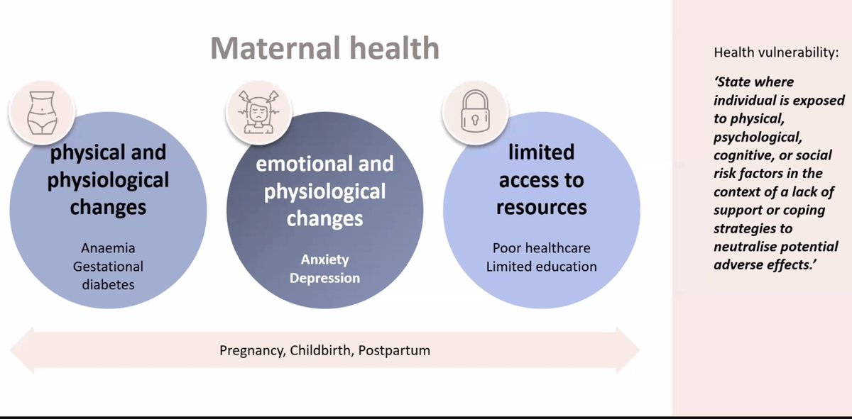 What is vulnerability? What makes women PRONE?

<a href="/thangaratinam/">Professor Shakila Thangaratinam</a>