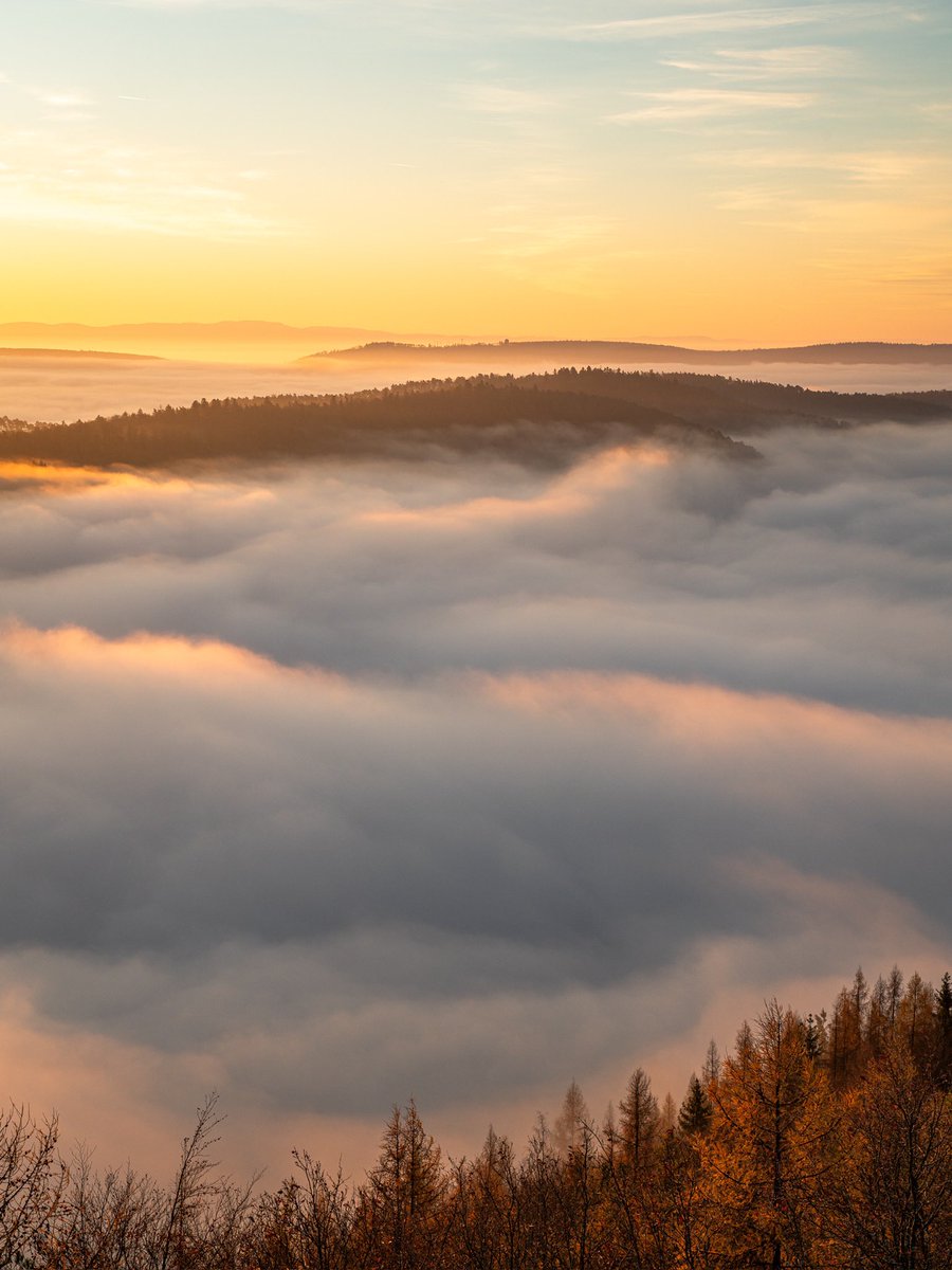 CedricSchell's tweet image. Ce matin, j’ai assisté à un merveilleux lever de soleil au dessus des nuages. (Alsace)