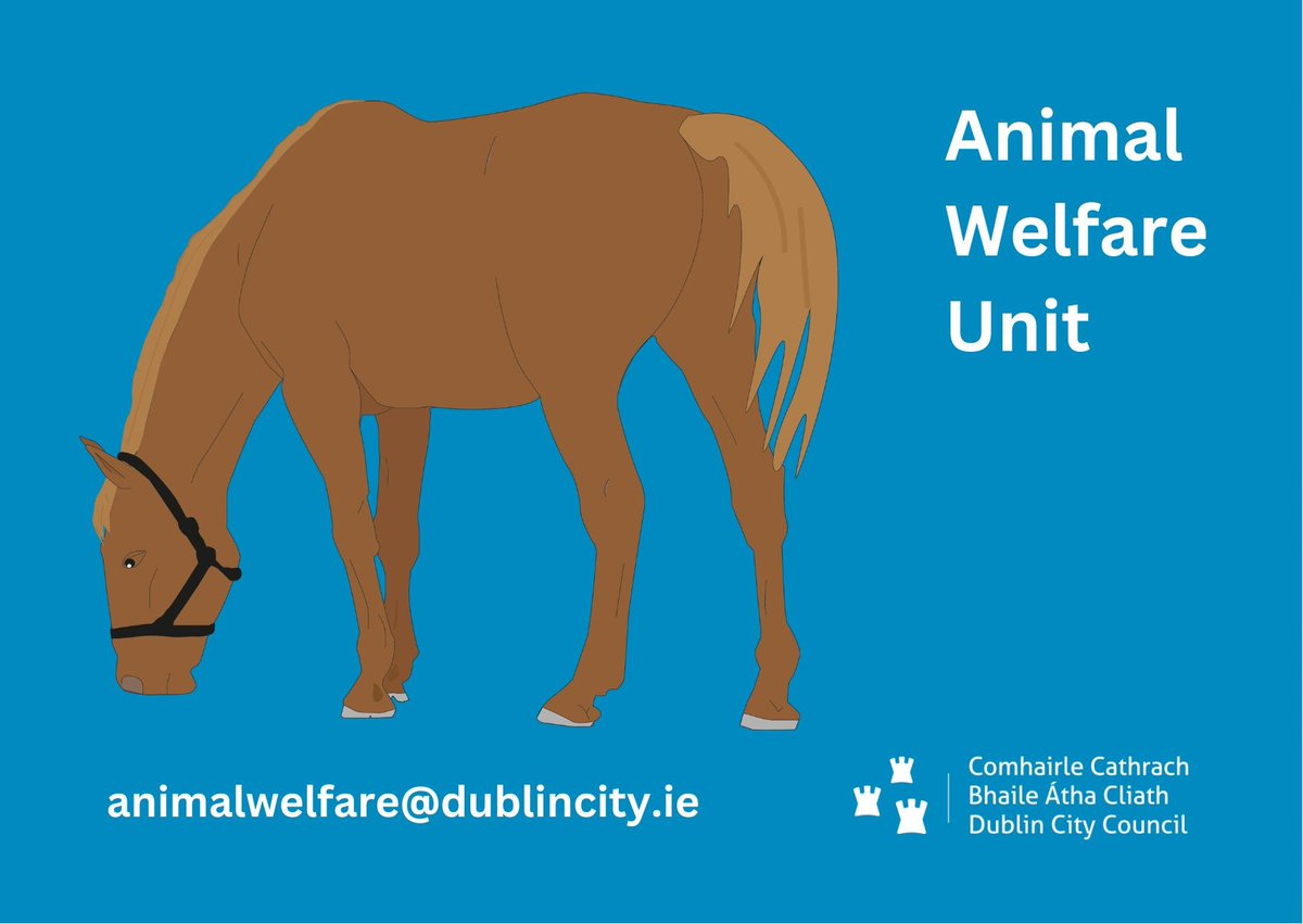 Dublin City Council's #AnimalWelfare unit ensures the welfare of Dogs and Horses across the Council's administrative area. See: ow.ly/Jsml50MiVHq. @DubCityCouncil #YourCouncil